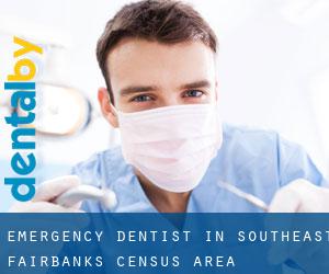 Emergency Dentist in Southeast Fairbanks Census Area