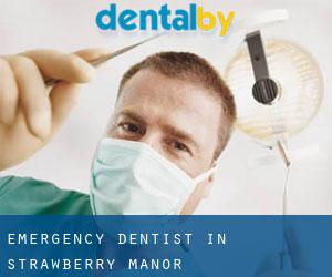 Emergency Dentist in Strawberry Manor