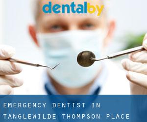 Emergency Dentist in Tanglewilde-Thompson Place