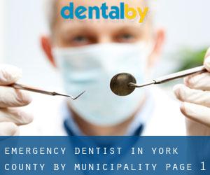 Emergency Dentist in York County by municipality - page 1