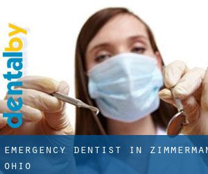 Emergency Dentist in Zimmerman (Ohio)