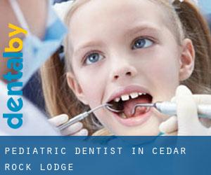 Pediatric Dentist in Cedar Rock Lodge