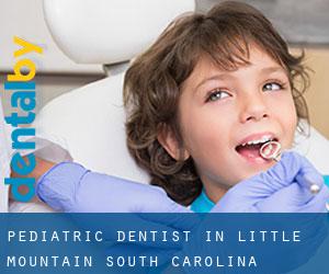Pediatric Dentist in Little Mountain (South Carolina)