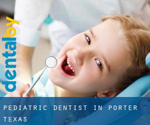 Pediatric Dentist in Porter (Texas)