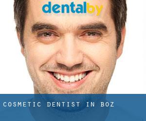 Cosmetic Dentist in Boz