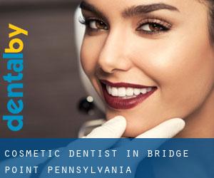 Cosmetic Dentist in Bridge Point (Pennsylvania)
