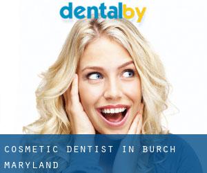 Cosmetic Dentist in Burch (Maryland)