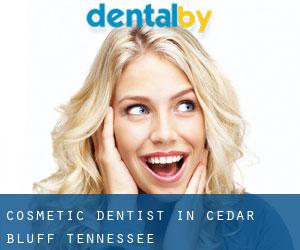 Cosmetic Dentist in Cedar Bluff (Tennessee)