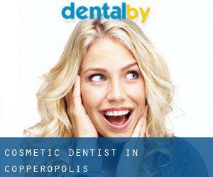 Cosmetic Dentist in Copperopolis