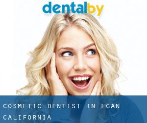 Cosmetic Dentist in Egan (California)