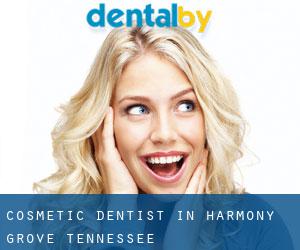 Cosmetic Dentist in Harmony Grove (Tennessee)