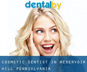 Cosmetic Dentist in Reservoir Hill (Pennsylvania)