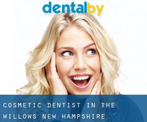Cosmetic Dentist in The Willows (New Hampshire)