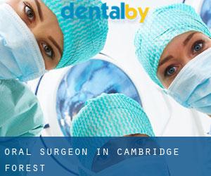 Oral Surgeon in Cambridge Forest