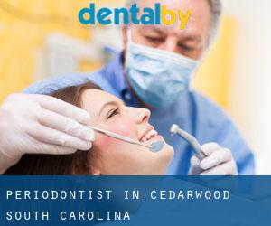 Periodontist in Cedarwood (South Carolina)