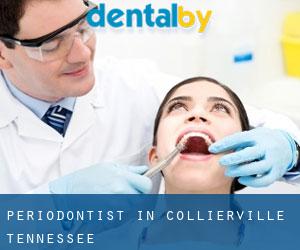 Periodontist in Collierville (Tennessee)