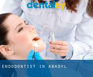 Endodontist in Abadyl