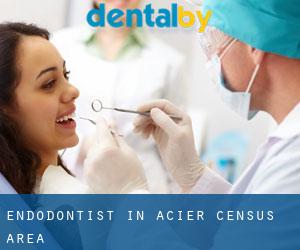Endodontist in Acier (census area)