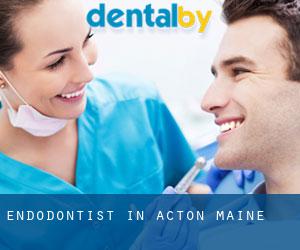 Endodontist in Acton (Maine)