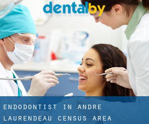 Endodontist in André-Laurendeau (census area)