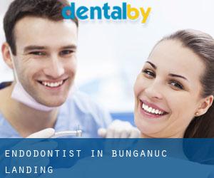 Endodontist in Bunganuc Landing