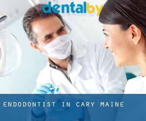 Endodontist in Cary (Maine)
