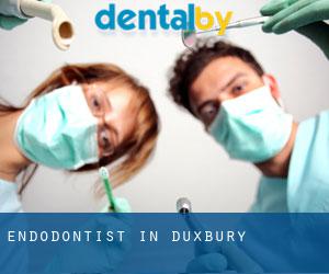 Endodontist in Duxbury