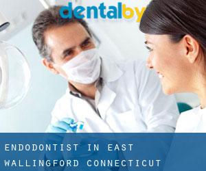 Endodontist in East Wallingford (Connecticut)