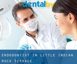 Endodontist in Little Indian Rock Terrace