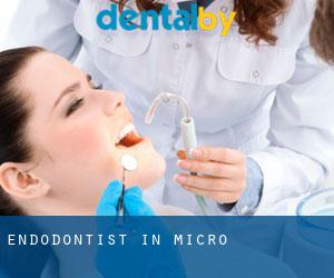 Endodontist in Micro