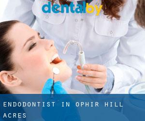 Endodontist in Ophir Hill Acres