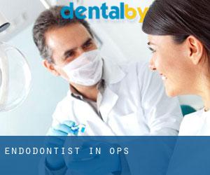 Endodontist in Ops