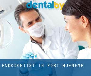 Endodontist in Port Hueneme