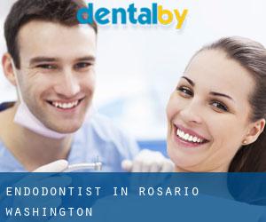 Endodontist in Rosario (Washington)