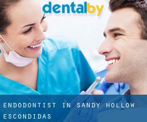 Endodontist in Sandy Hollow-Escondidas