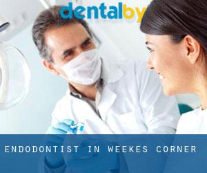 Endodontist in Weekes Corner