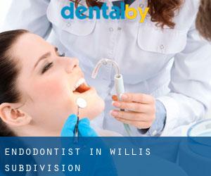 Endodontist in Willis Subdivision
