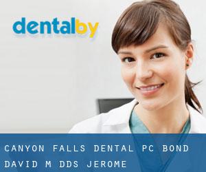 Canyon Falls Dental PC: Bond David M DDS (Jerome)