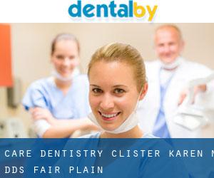 Care Dentistry: Clister Karen N DDS (Fair Plain)