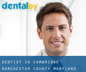 dentist in Cambridge (Dorchester County, Maryland)