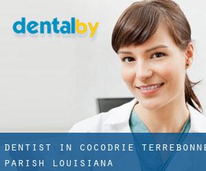 dentist in Cocodrie (Terrebonne Parish, Louisiana)