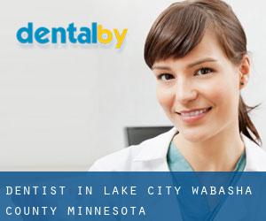 dentist in Lake City (Wabasha County, Minnesota)