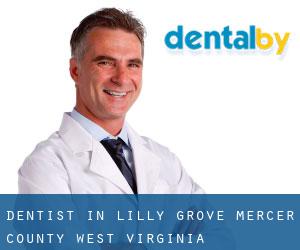dentist in Lilly Grove (Mercer County, West Virginia)