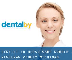 dentist in Nepco Camp Number 7 (Keweenaw County, Michigan)