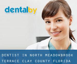 dentist in North Meadowbrook Terrace (Clay County, Florida)