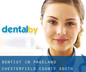 dentist in Pageland (Chesterfield County, South Carolina)