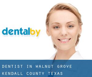 dentist in Walnut Grove (Kendall County, Texas)