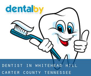 dentist in Whitehead Hill (Carter County, Tennessee)