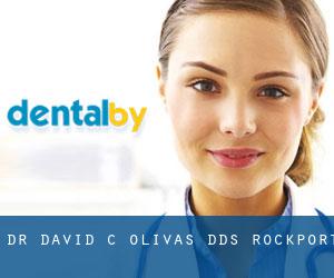 Dr. David C. Olivas, DDS (Rockport)