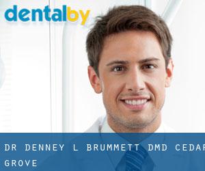 Dr. Denney L. Brummett, DMD (Cedar Grove)